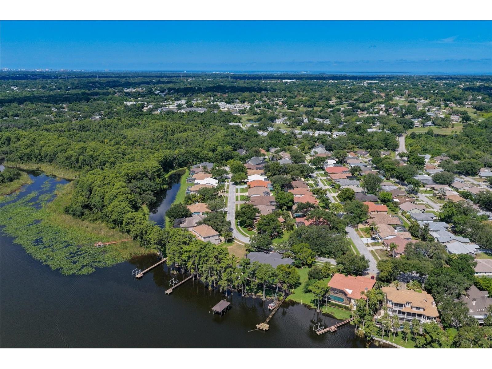 3909 Tarian Court Palm Harbor FL 34684 TB8519770 image54