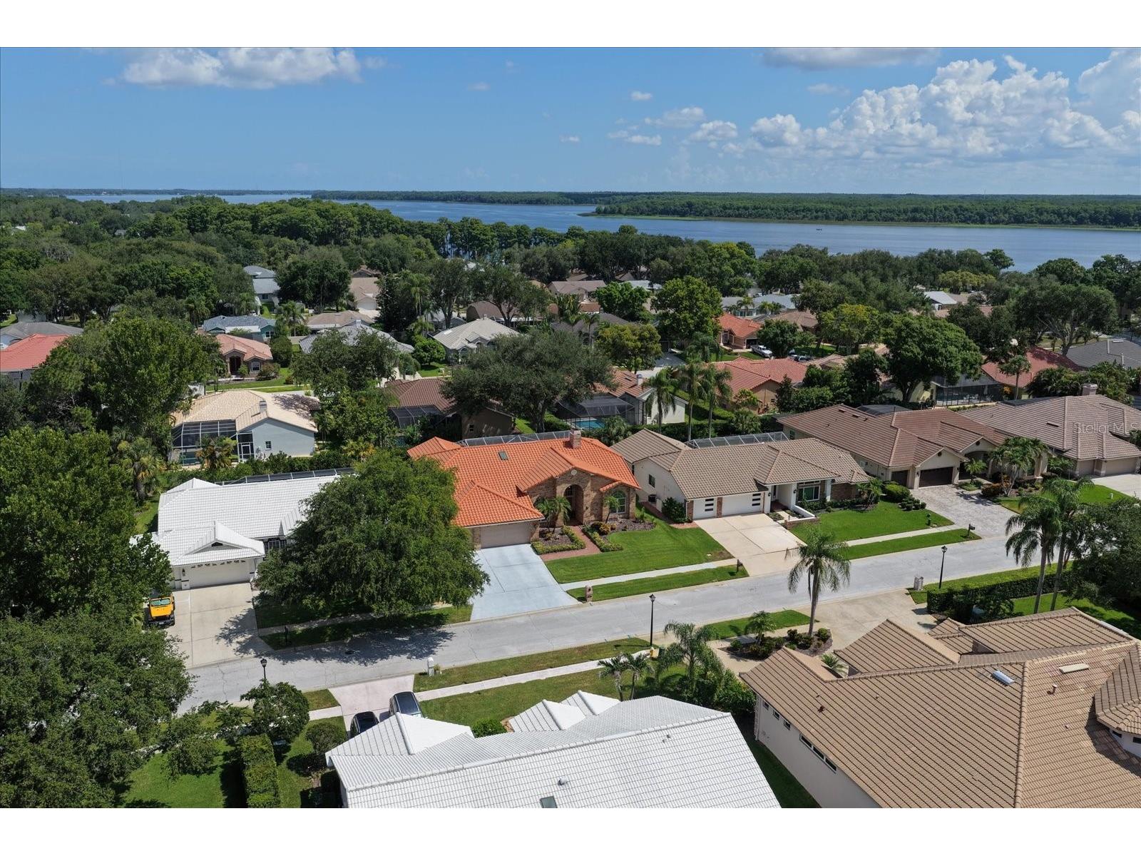 3909 Tarian Court Palm Harbor FL 34684 TB8519770 image55