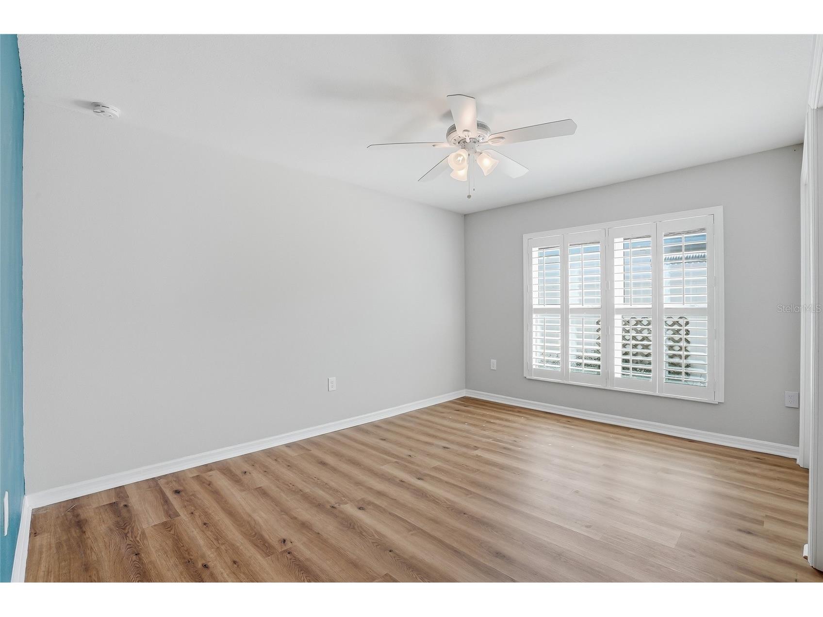 3909 W Carmen Street Tampa FL 33609 TB8494899 image24