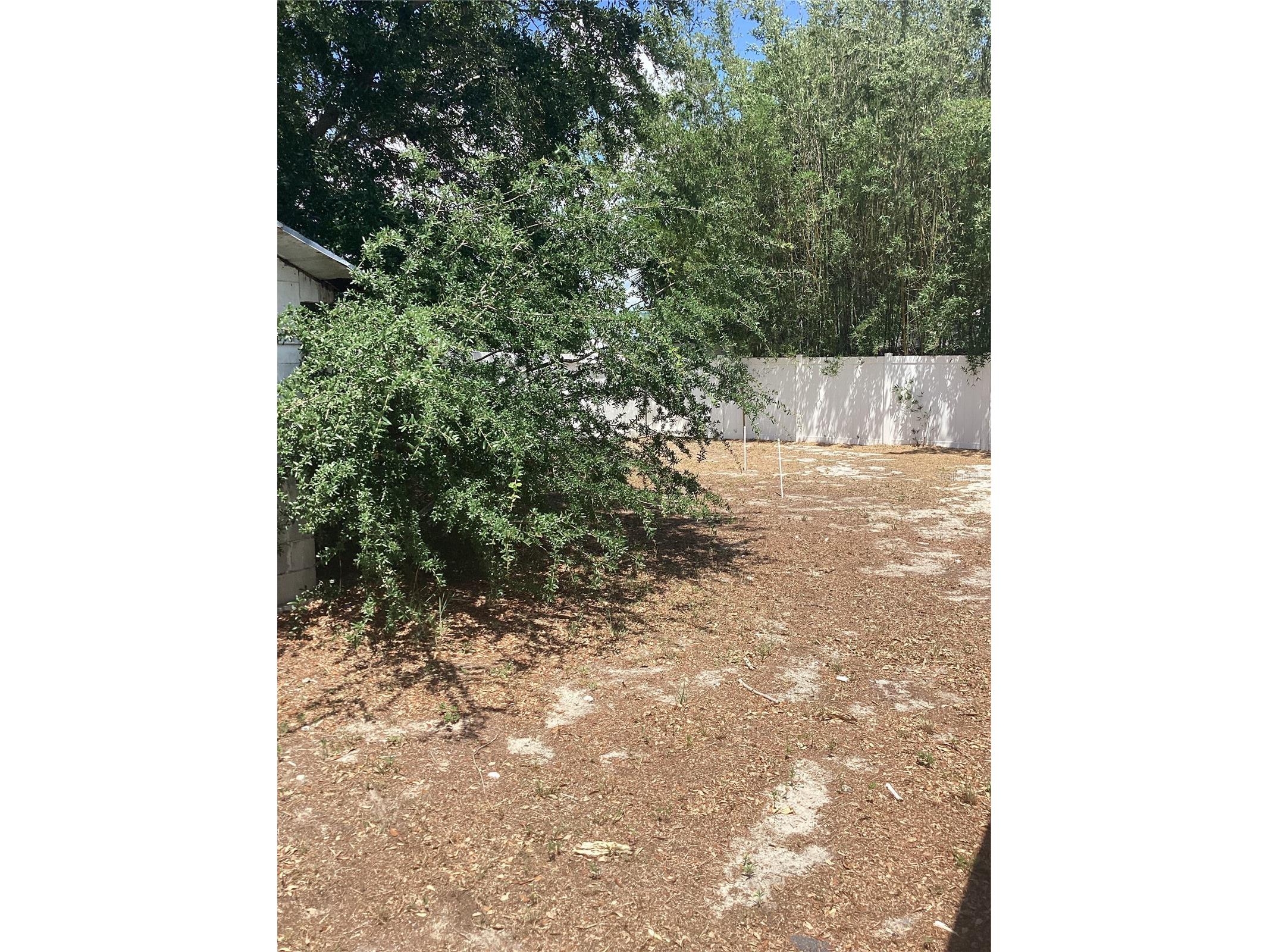 3909 W Palmetto Street Tampa FL 33607 TB8508538 image11