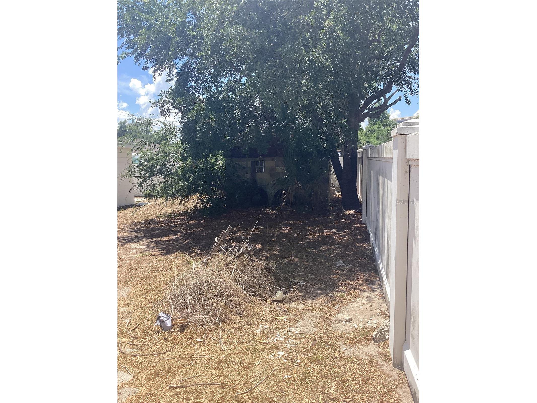 3909 W Palmetto Street Tampa FL 33607 TB8508538 image14