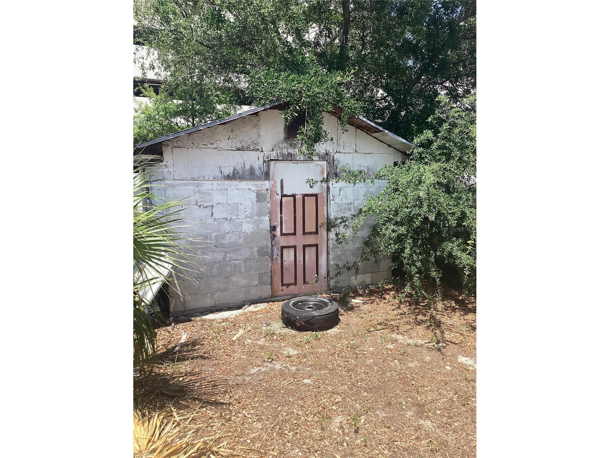 3909 W Palmetto Street Tampa FL 33607 TB8508538 image15
