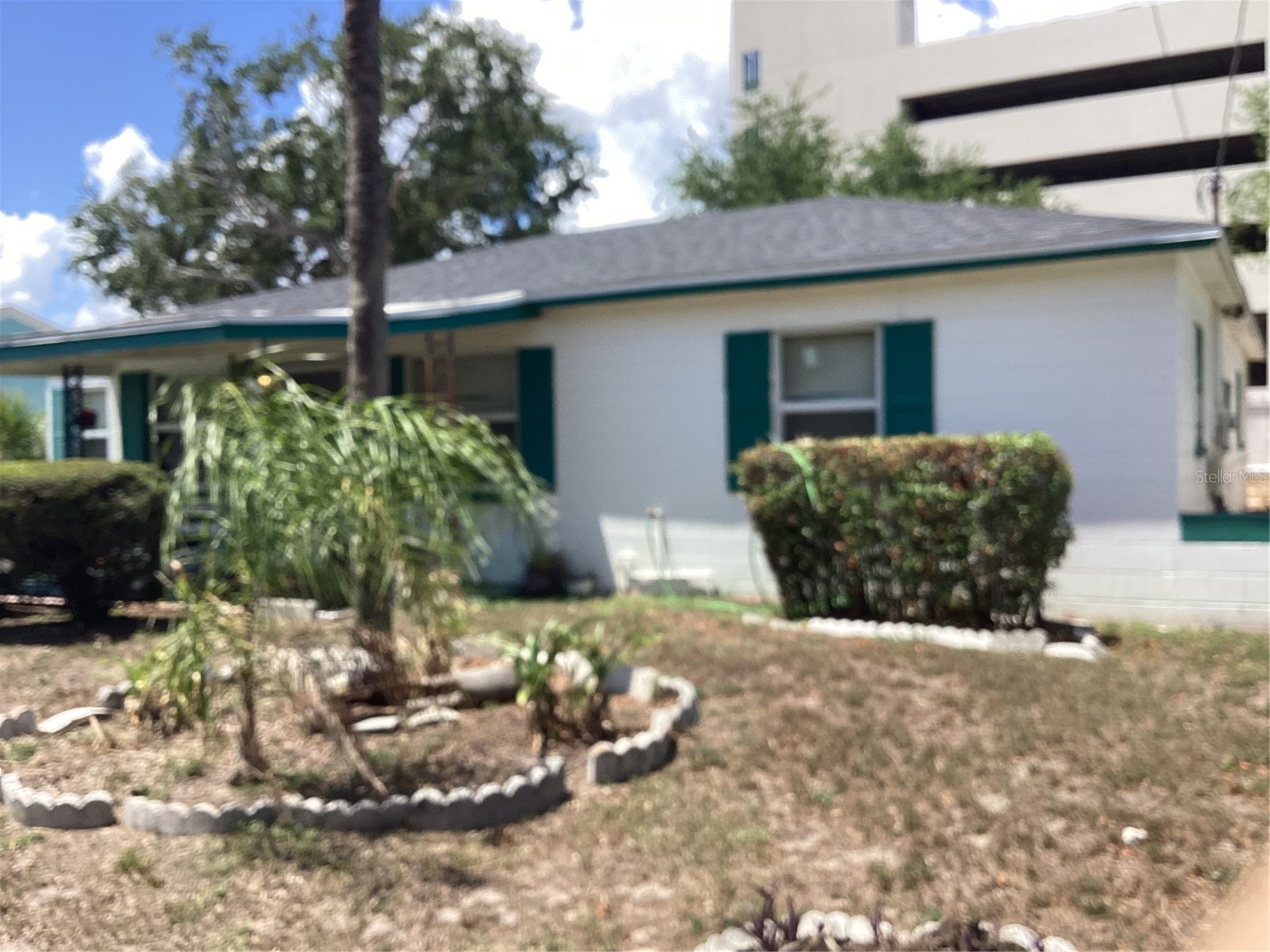 3909 W Palmetto Street Tampa FL 33607 TB8508538 image3