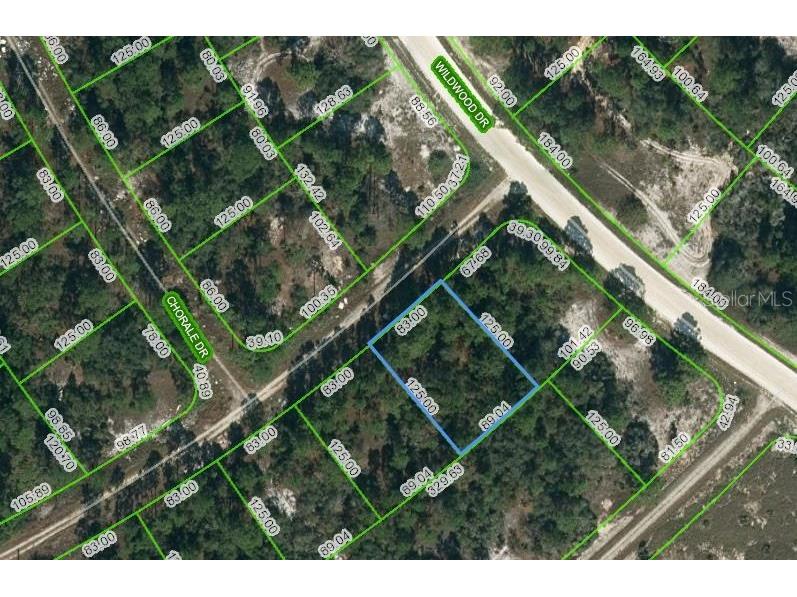 391 Cartier Avenue Lake Placid FL 33852 OM621649 image1