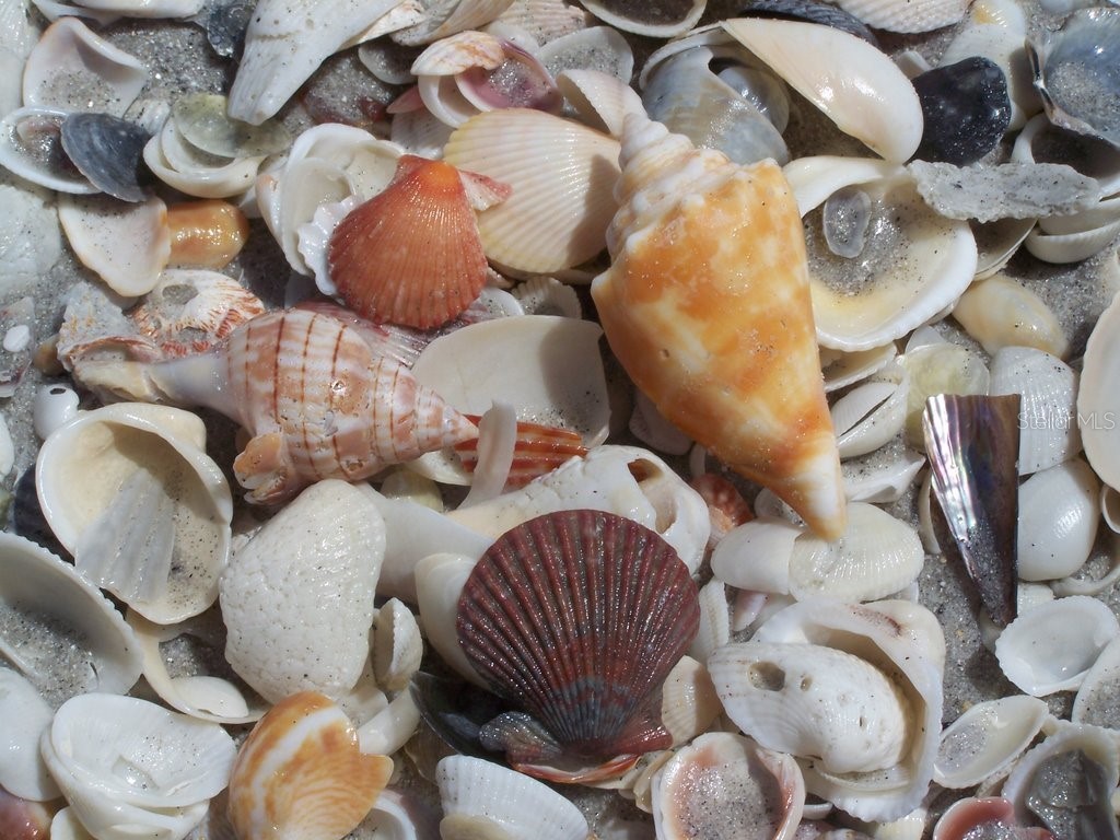 391 Kettle Harbor Drive Placida FL 33946 - KETTLE HARBOR D6144456 image49