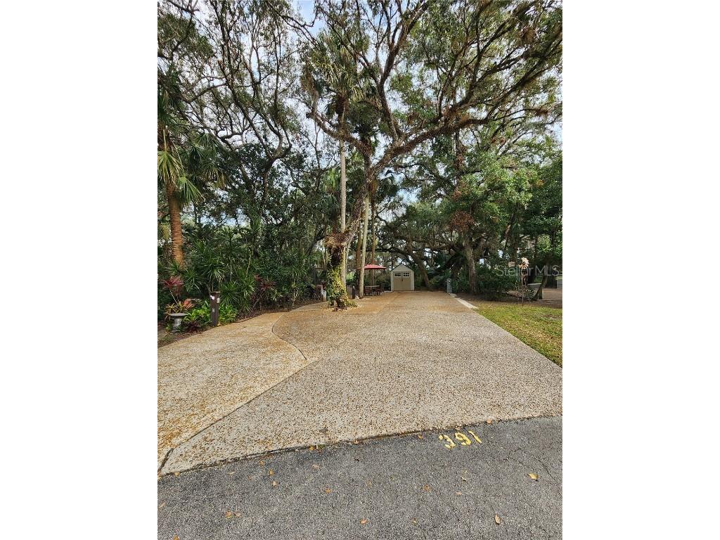 391 Longhorn Drive Lake Wales FL 33898 P4933342 image4