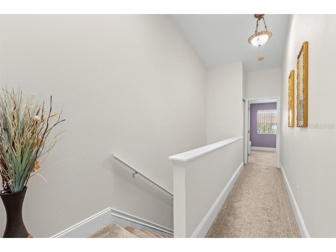 391 Madeira Circle Tierra Verde FL 33715 TB8450232 image16