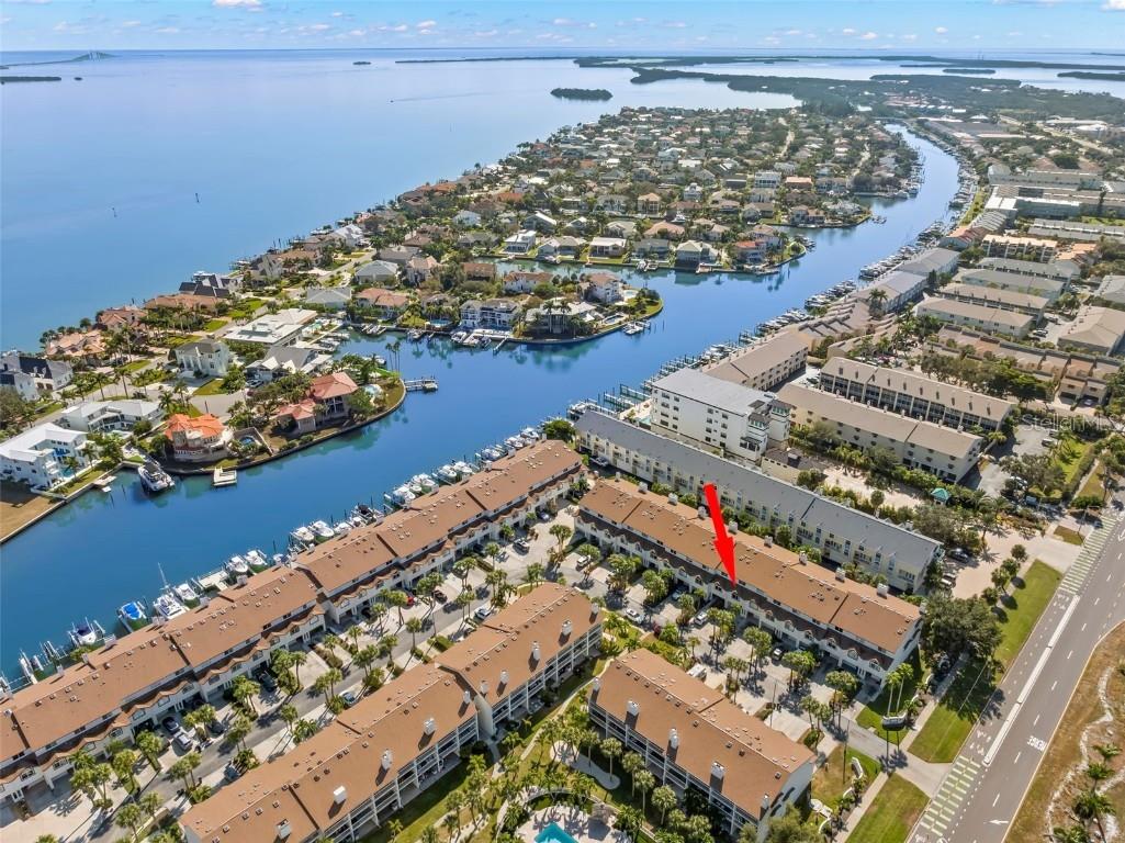 391 Madeira Circle Tierra Verde FL 33715 TB8450232 image38