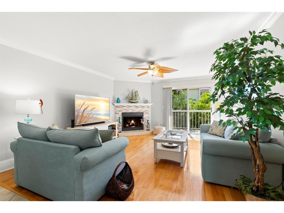 391 Madeira Circle Tierra Verde FL 33715 TB8450232 image4