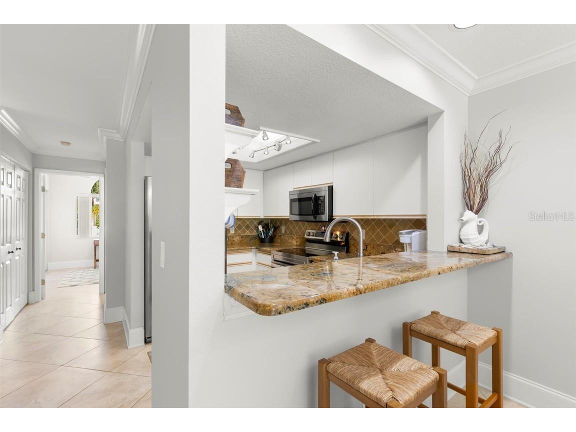 391 Madeira Circle Tierra Verde FL 33715 TB8450232 image7