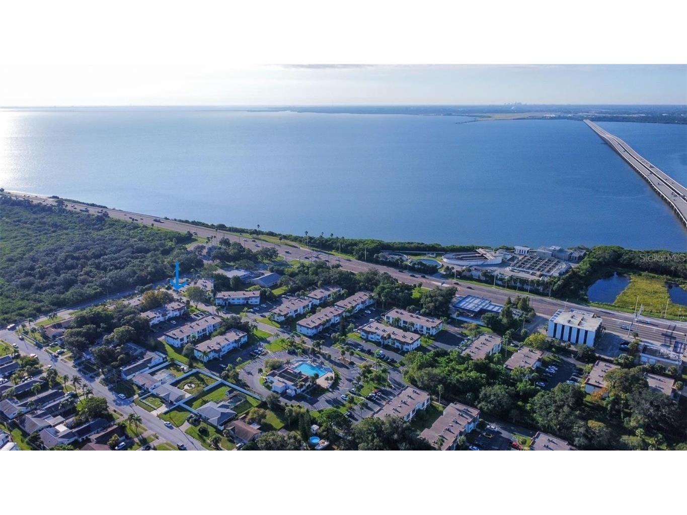 391 S Mcmullen Booth Road #7 Clearwater FL 33759 U8190135 image1