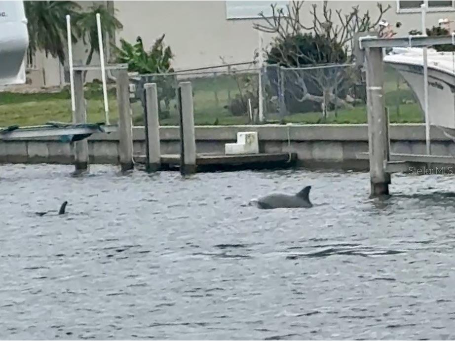 391 Via Esplanade Punta Gorda FL 33950 - MOONFISH CANAL C7523761 image52