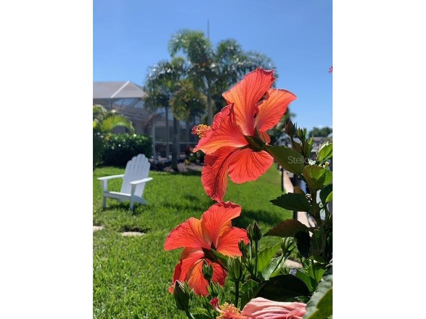 391 Via Esplanade Punta Gorda FL 33950 - MOONFISH CANAL C7523761 image57