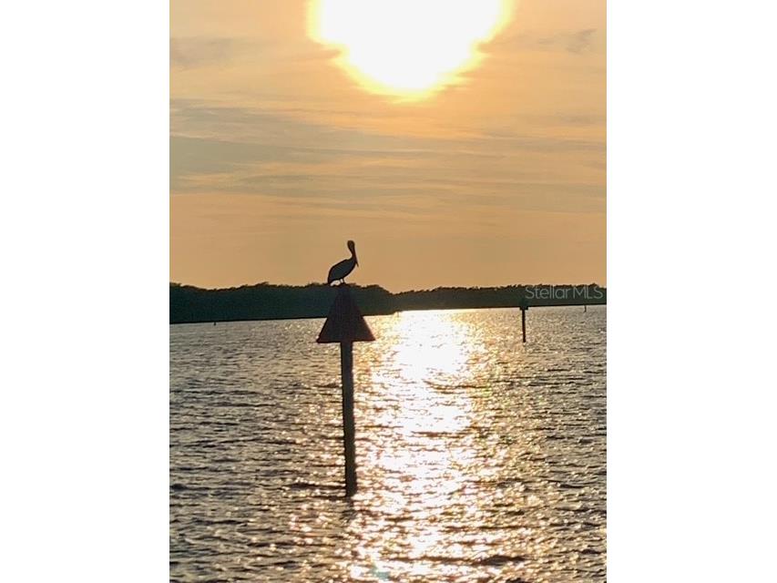391 Via Esplanade Punta Gorda FL 33950 - MOONFISH CANAL C7523761 image59