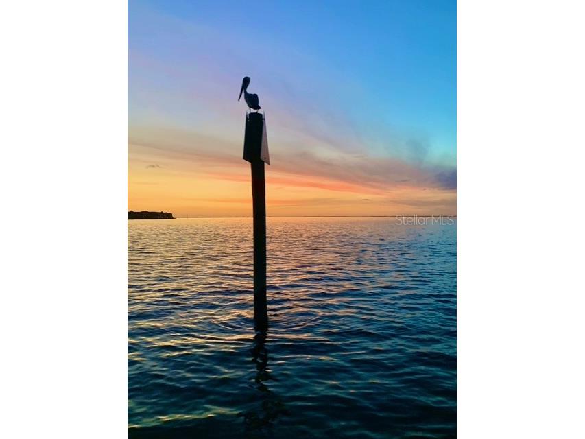 391 Via Esplanade Punta Gorda FL 33950 - MOONFISH CANAL C7523761 image60