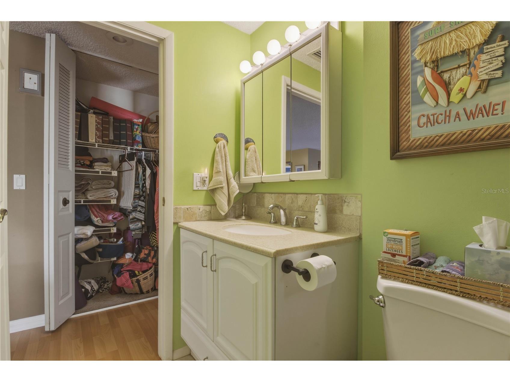 391 Walnut Court Palm Harbor FL 34683 TB8508697 image21