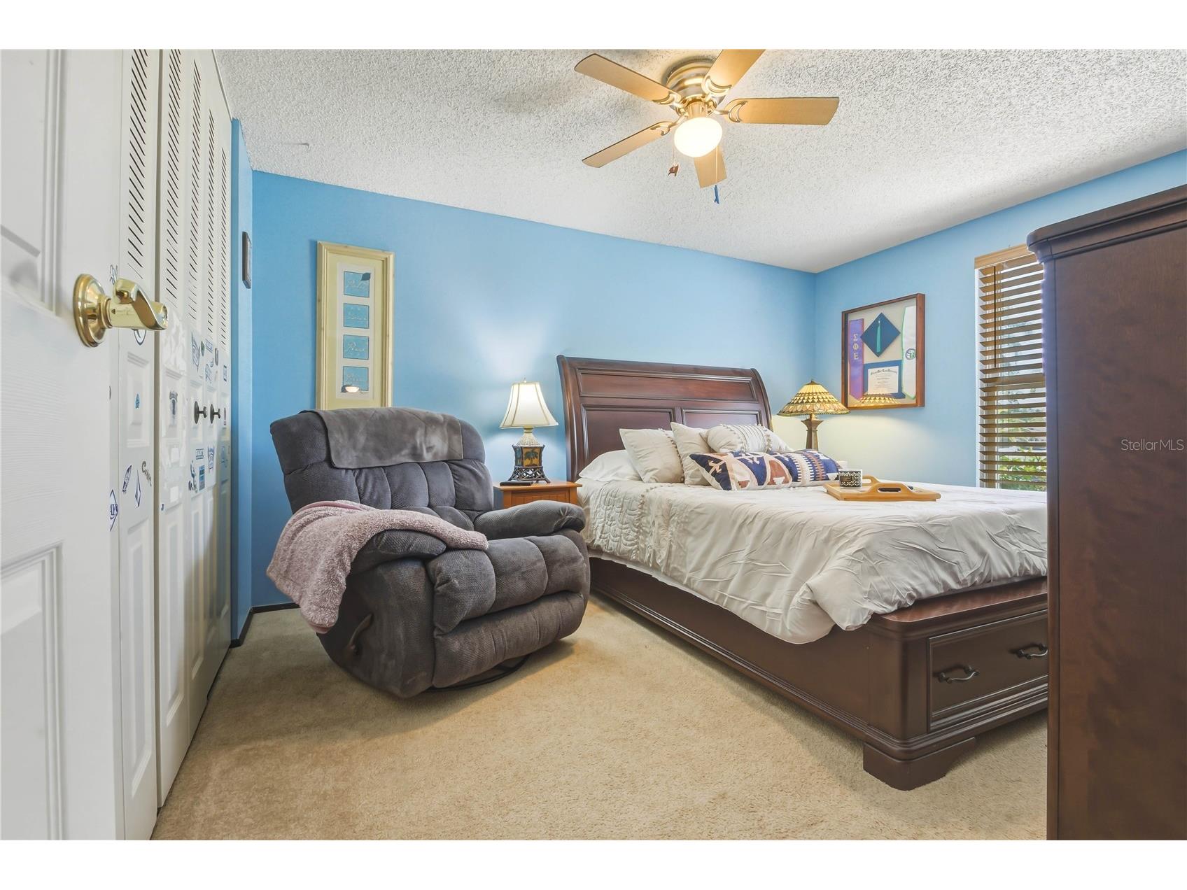 391 Walnut Court Palm Harbor FL 34683 TB8508697 image24