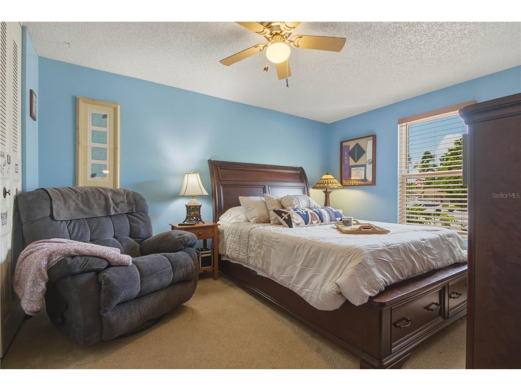 391 Walnut Court Palm Harbor FL 34683 TB8508697 image28