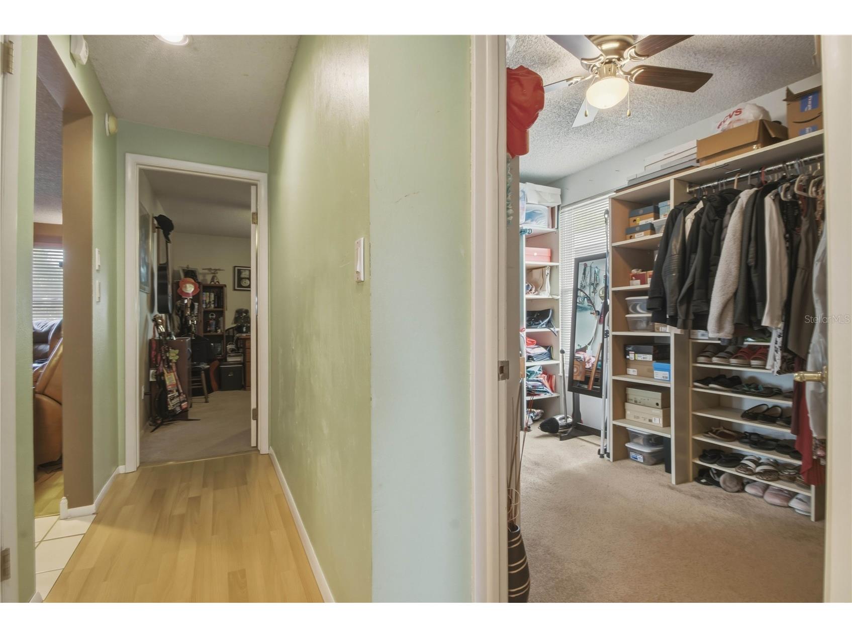 391 Walnut Court Palm Harbor FL 34683 TB8508697 image34