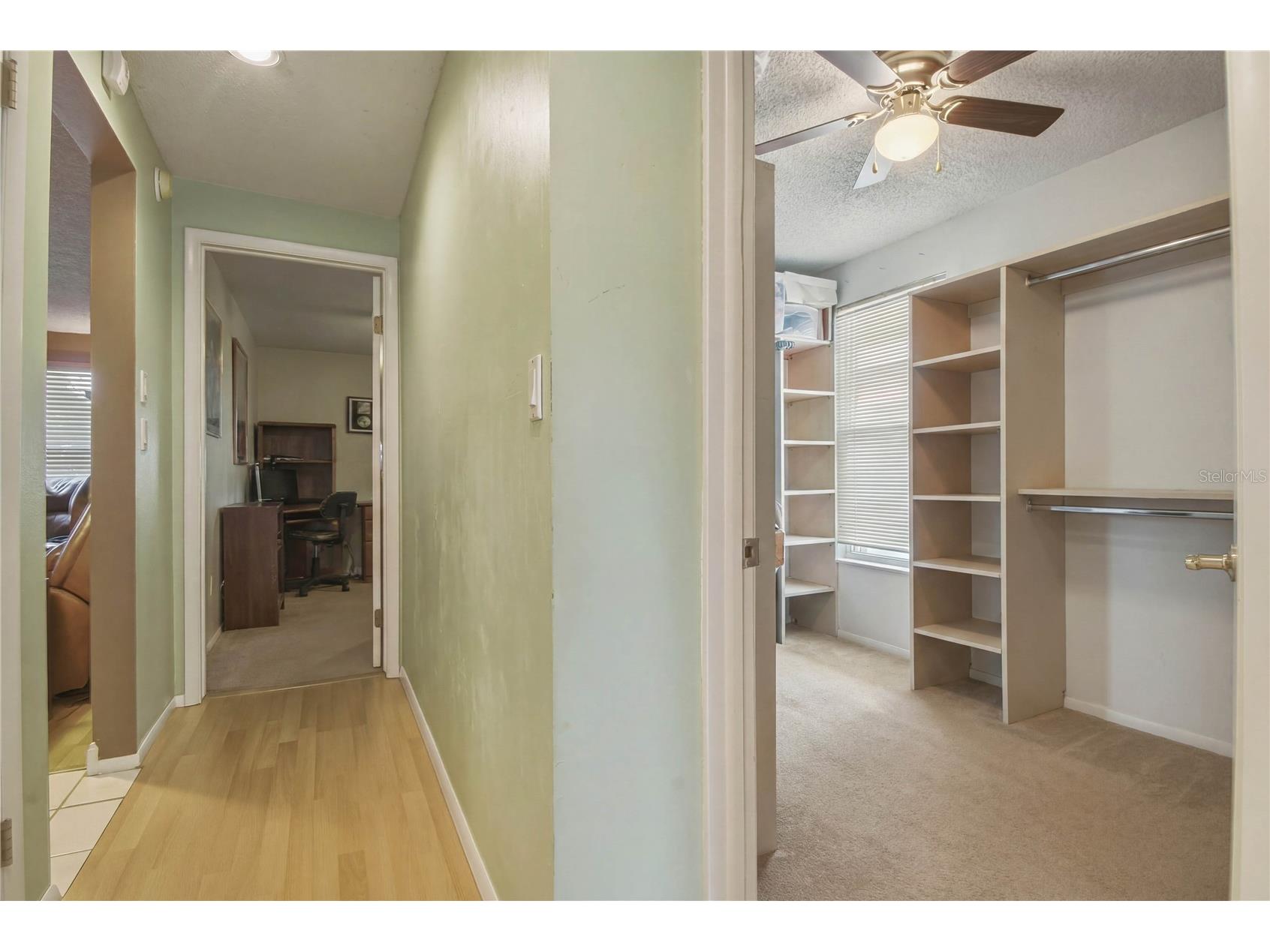 391 Walnut Court Palm Harbor FL 34683 TB8508697 image35