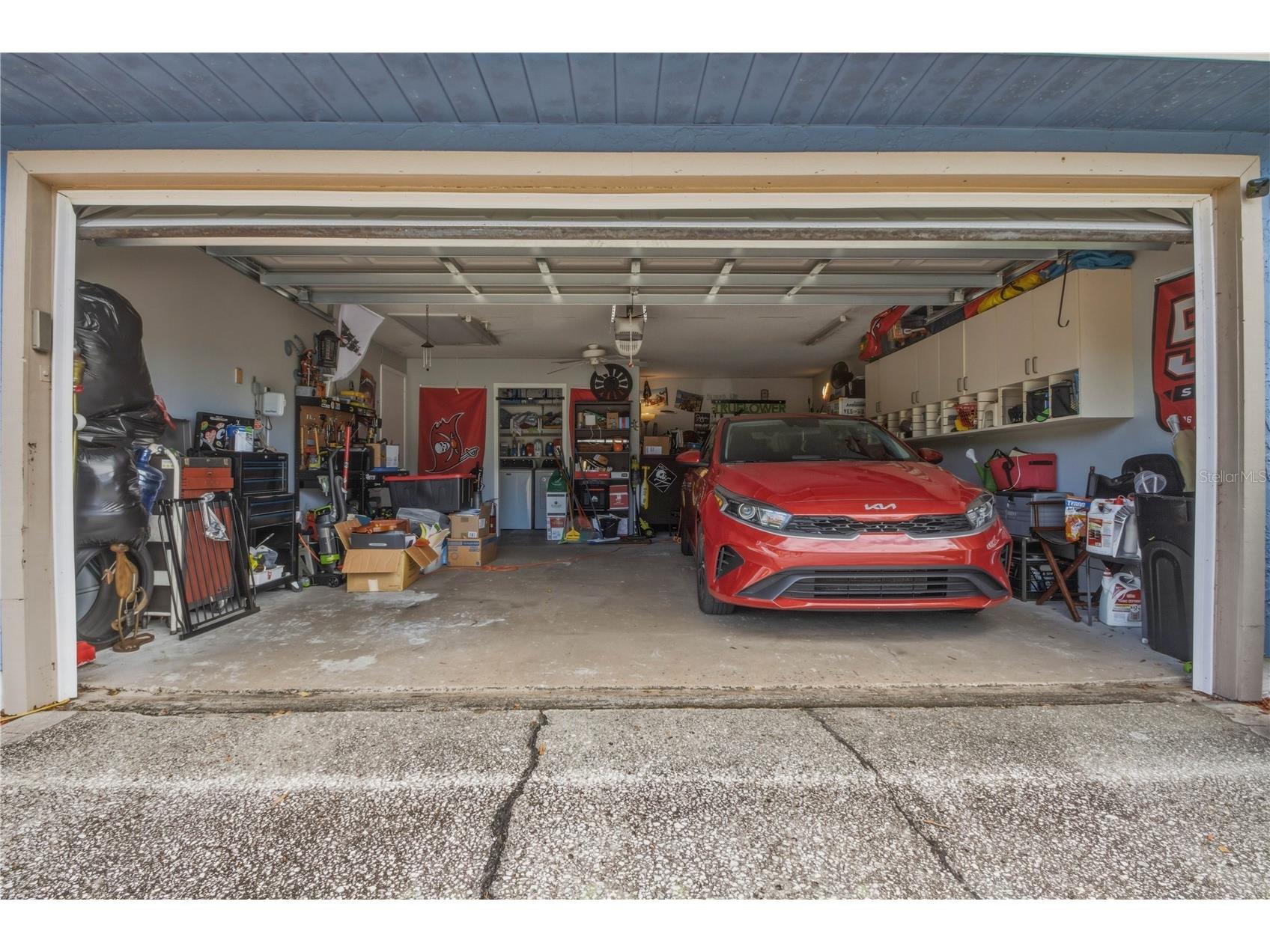 391 Walnut Court Palm Harbor FL 34683 TB8508697 image53