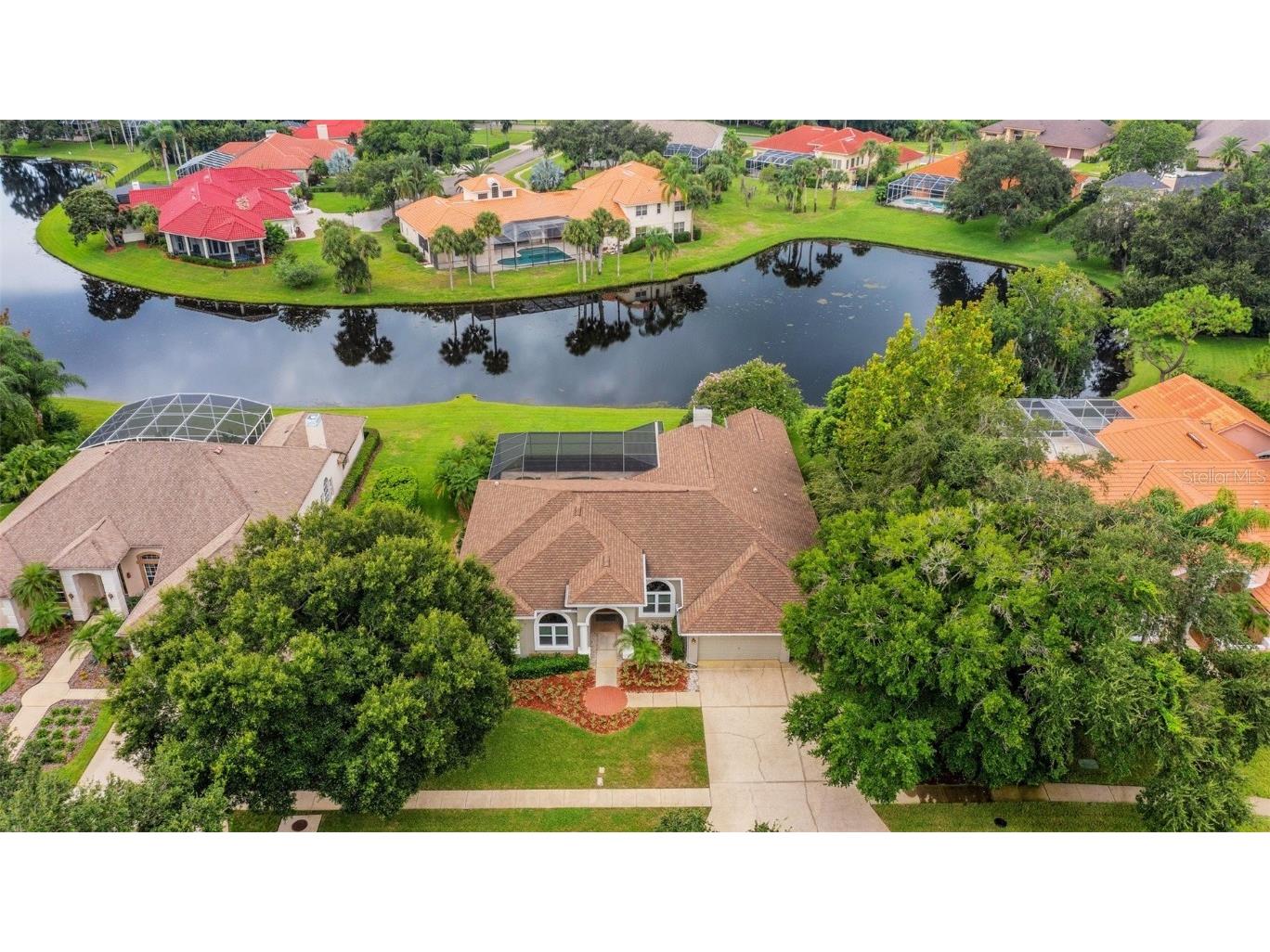 3910 Arlington Drive Palm Harbor FL 34685 TB8301922 image1