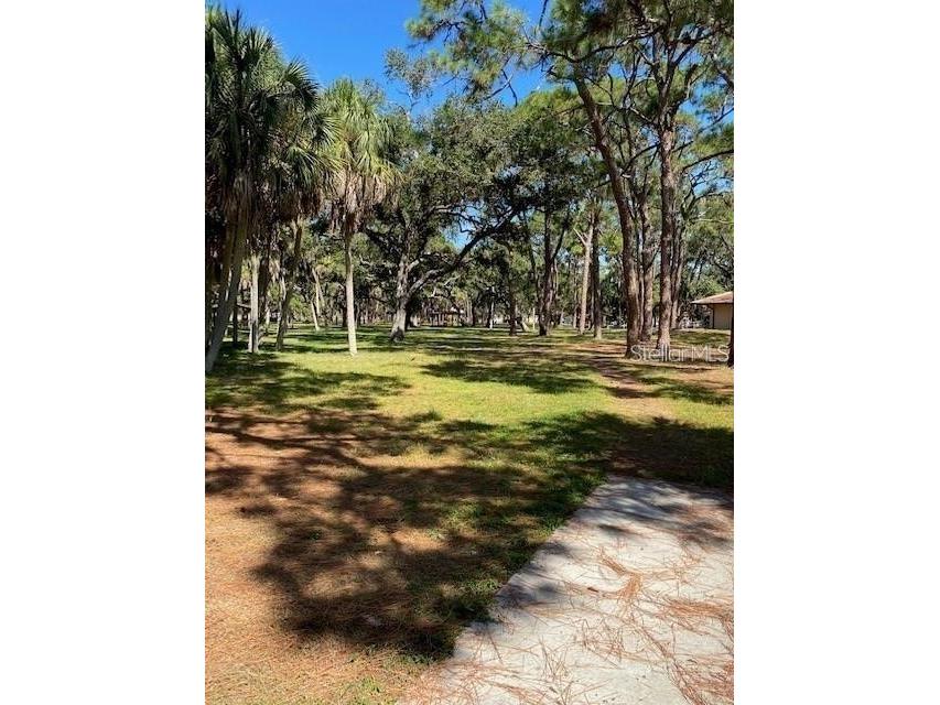 3910 Dr Martin Luther King Jr Street S Saint Petersburg FL 33705 TB8423616 image20