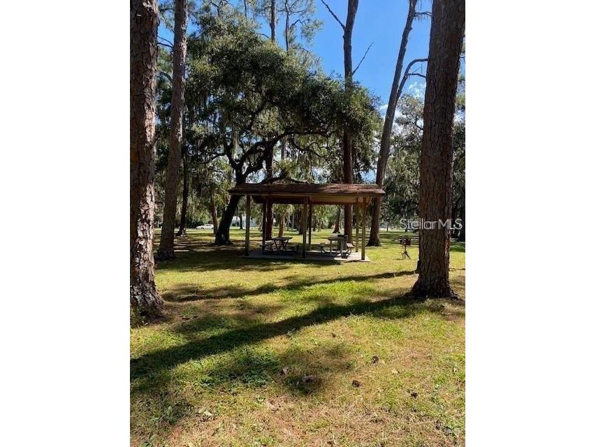 3910 Dr Martin Luther King Jr Street S Saint Petersburg FL 33705 TB8423616 image21