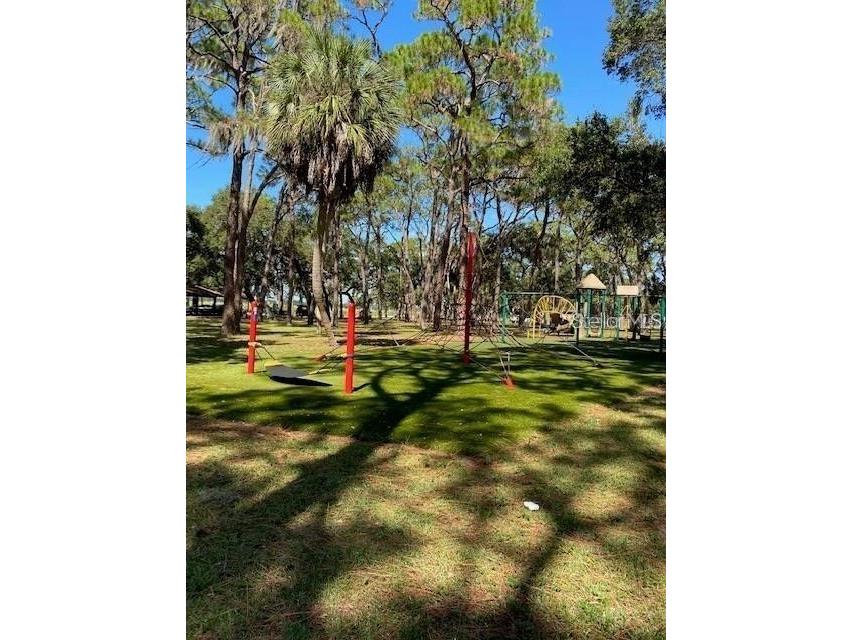 3910 Dr Martin Luther King Jr Street S Saint Petersburg FL 33705 TB8423616 image22