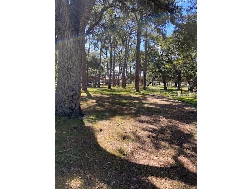 3910 Dr Martin Luther King Jr Street S Saint Petersburg FL 33705 TB8423616 image25