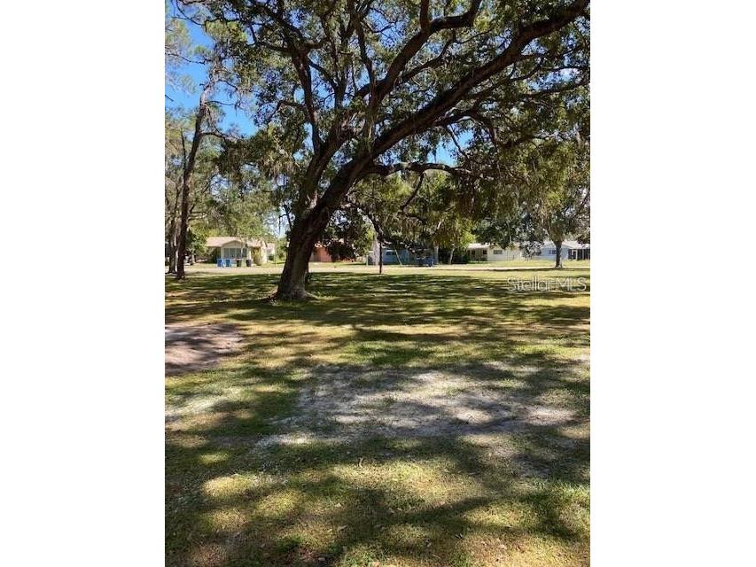 3910 Dr Martin Luther King Jr Street S Saint Petersburg FL 33705 TB8423616 image26