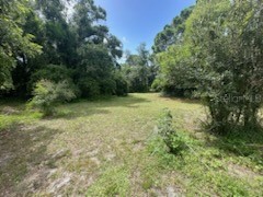 3910 Dunn Drive Sarasota FL 34233 A4549958 image11