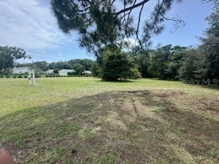 3910 Dunn Drive Sarasota FL 34233 A4549958 image25