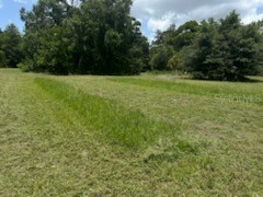 3910 Dunn Drive Sarasota FL 34233 A4549958 image31