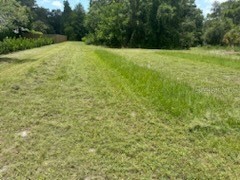 3910 Dunn Drive Sarasota FL 34233 A4549958 image33