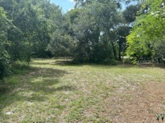 3910 Dunn Drive Sarasota FL 34233 A4549958 image8