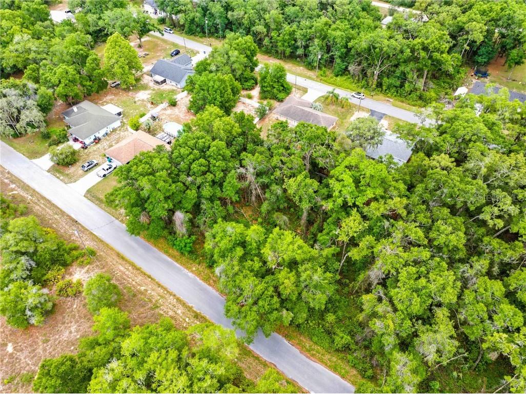 3910 E Scotty Street Inverness FL 34453 TB8381407 image13