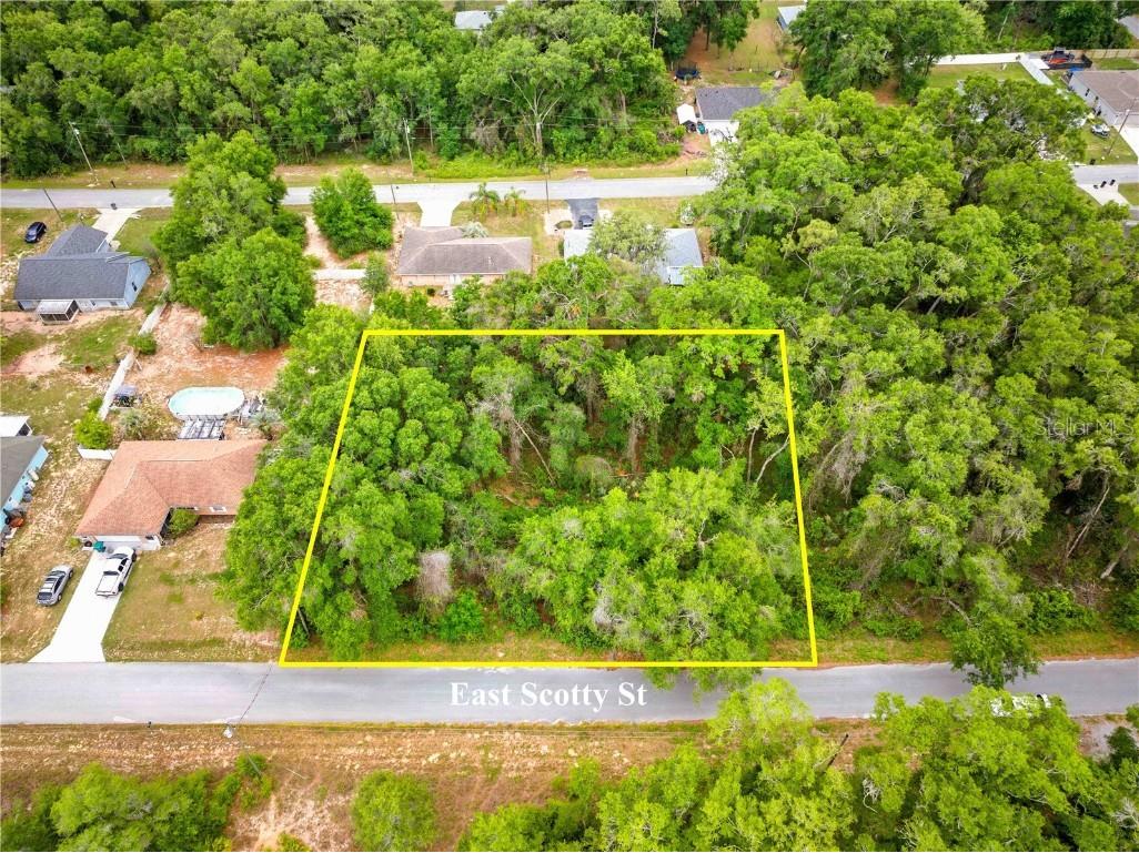 3910 E Scotty Street Inverness FL 34453 TB8381407 image14