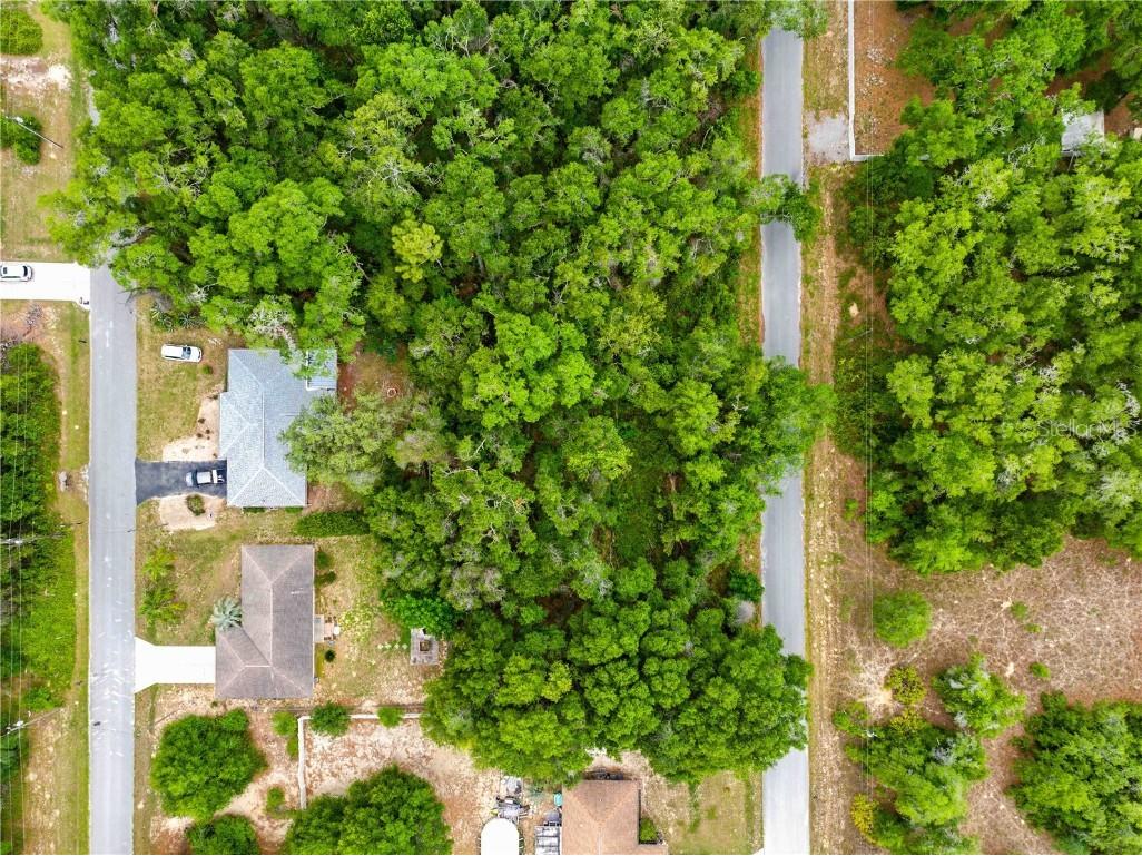 3910 E Scotty Street Inverness FL 34453 TB8381407 image19