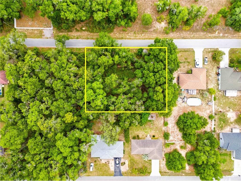 3910 E Scotty Street Inverness FL 34453 TB8381407 image2