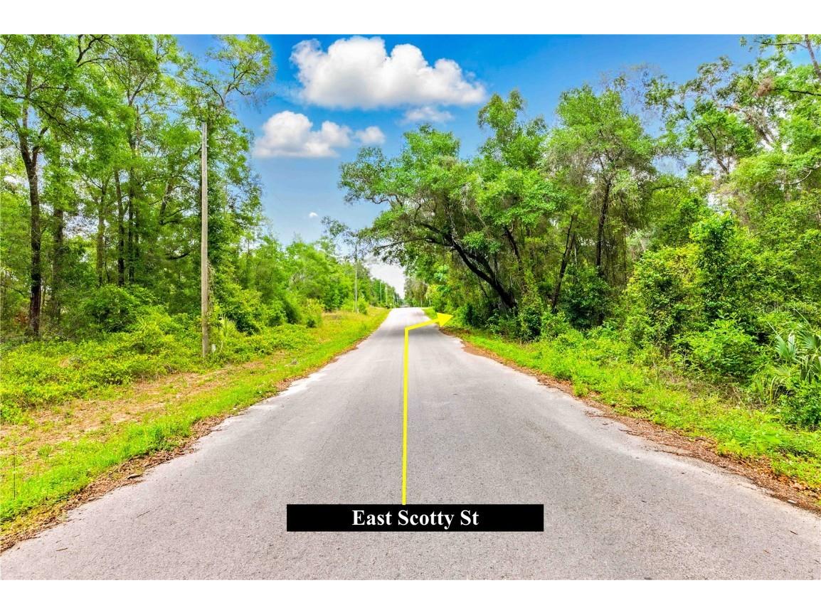 3910 E Scotty Street Inverness FL 34453 TB8381407 image20