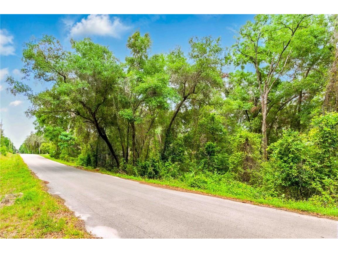 3910 E Scotty Street Inverness FL 34453 TB8381407 image21