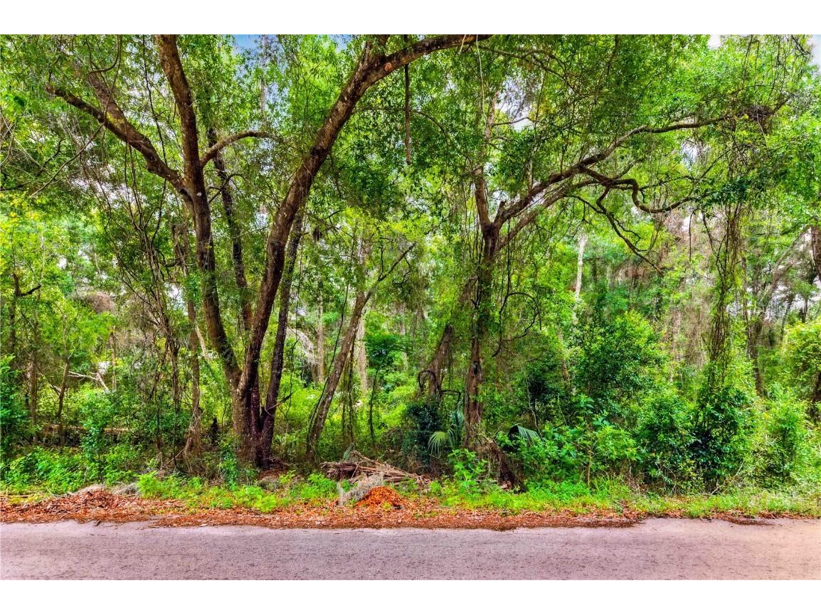 3910 E Scotty Street Inverness FL 34453 TB8381407 image22