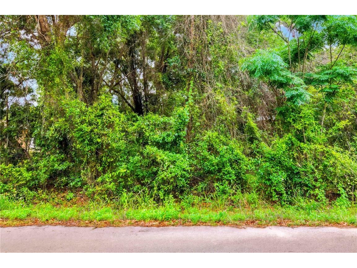 3910 E Scotty Street Inverness FL 34453 TB8381407 image23