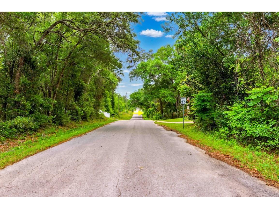 3910 E Scotty Street Inverness FL 34453 TB8381407 image25