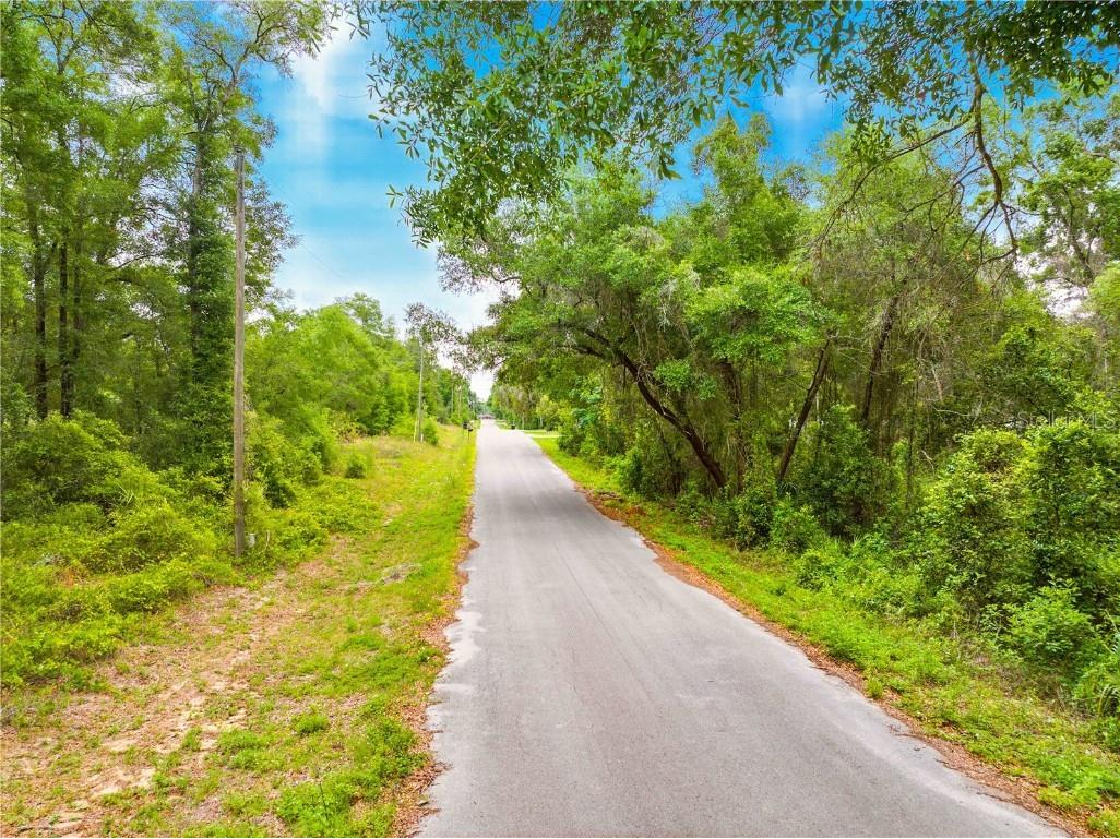 3910 E Scotty Street Inverness FL 34453 TB8381407 image26