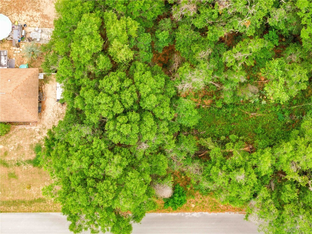 3910 E Scotty Street Inverness FL 34453 TB8381407 image6