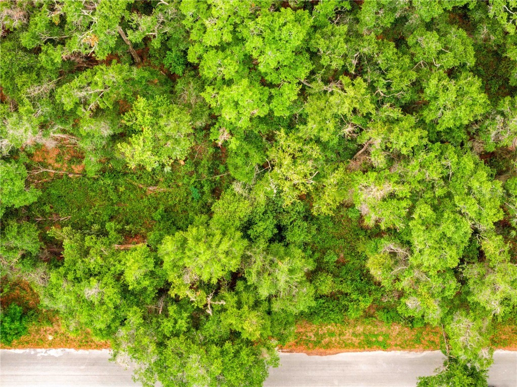 3910 E Scotty Street Inverness FL 34453 TB8381407 image7