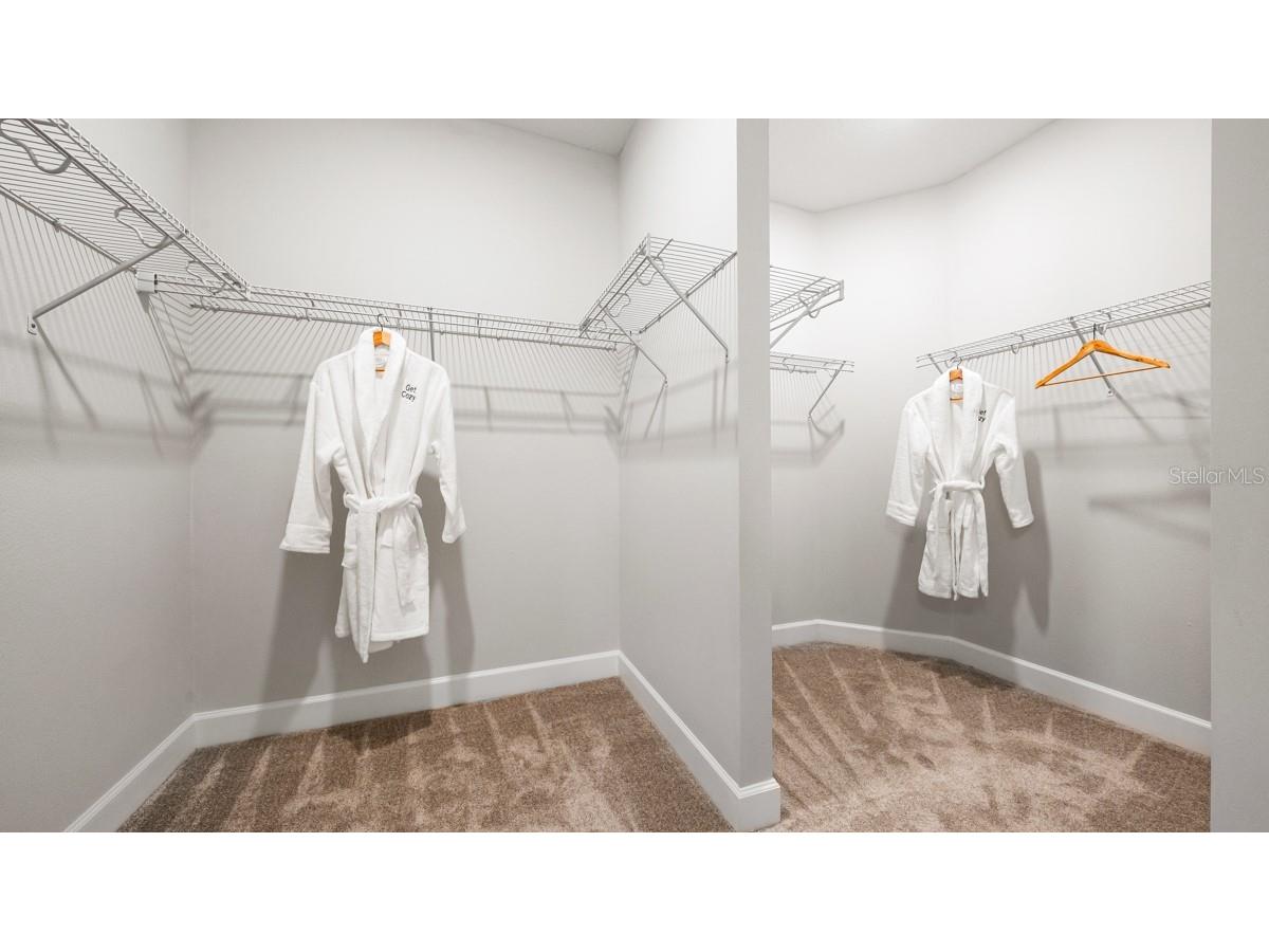 3910 Immacolata Way Wesley Chapel FL 33543 TB8471312 image33