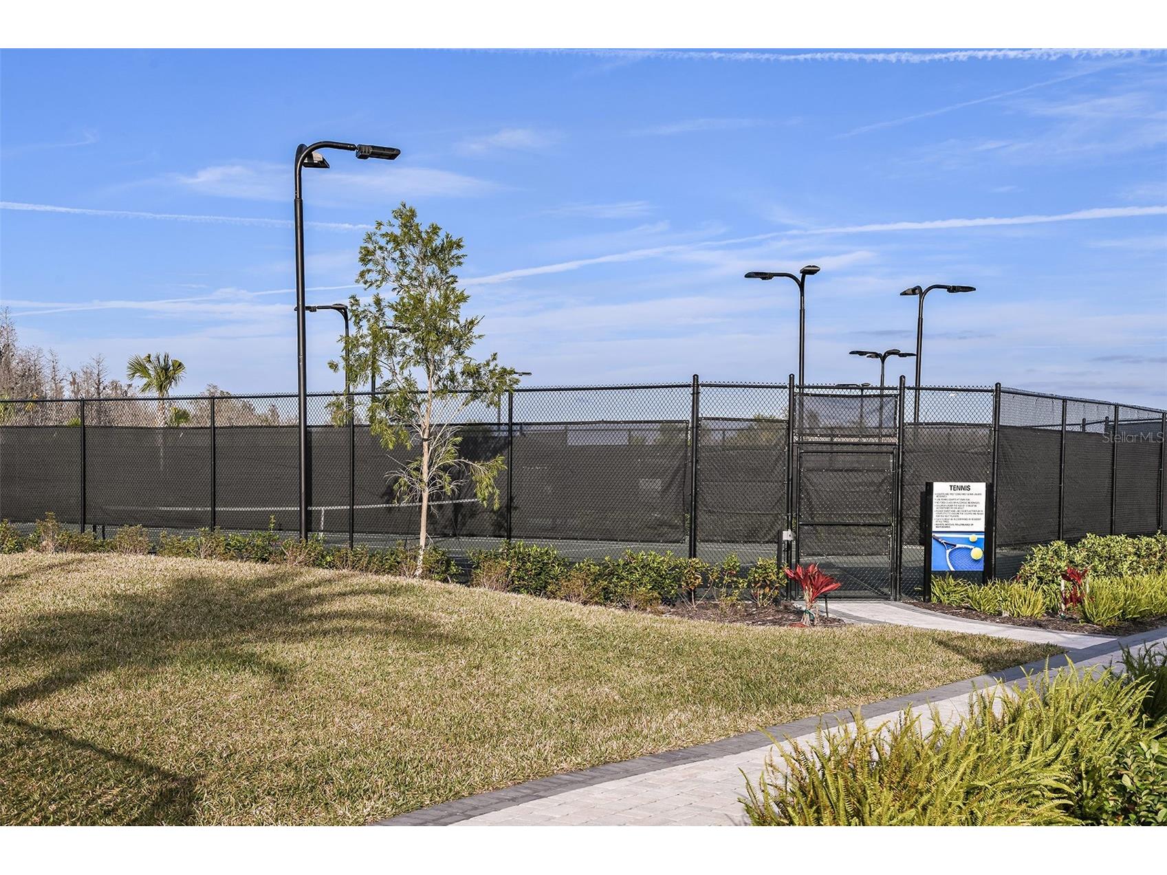 3910 Immacolata Way Wesley Chapel FL 33543 TB8471312 image37
